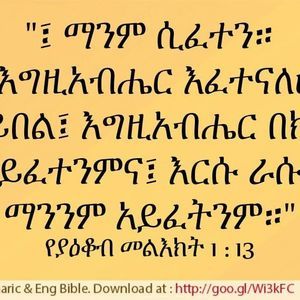 Meet your Posher, Almaz